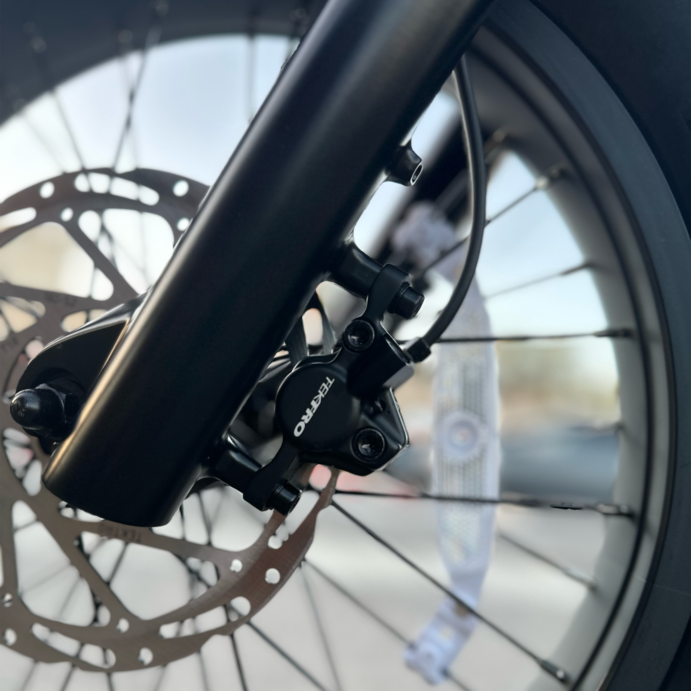 HBBC DTR Premium 20" Electric Bike - PUTTY