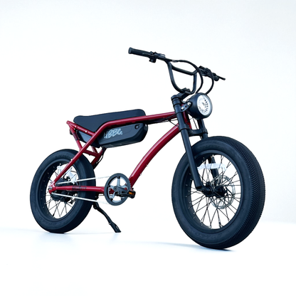 HBBC DTR 20" Electric Bike