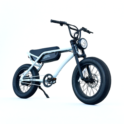 HBBC DTR 20" Electric Bike