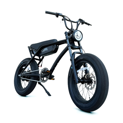 HBBC DTR Premium 20" Electric Bike
