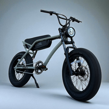 HBBC DTR Premium 20" Electric Bike