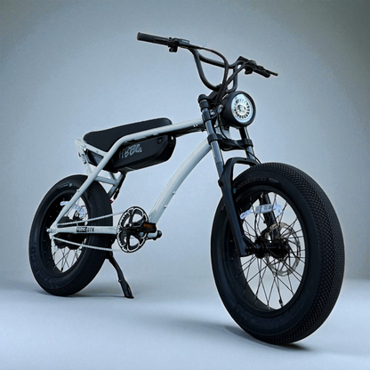 HBBC DTR Premium 20" Electric Bike