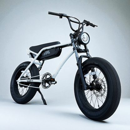 HBBC DTR Premium 20" Electric Bike
