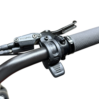 HBBC DTR Premium 20" Electric Bike - OX BLOOD