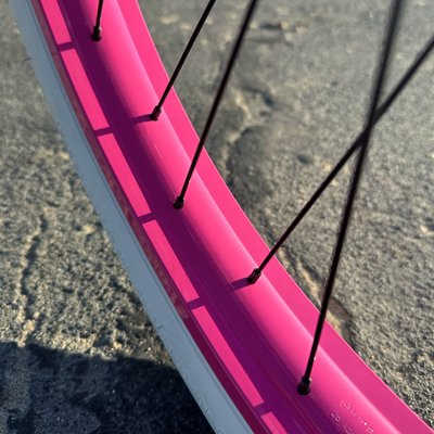 SKULLXBONES Women's Beach Cruiser - FLAT GREY/PINK