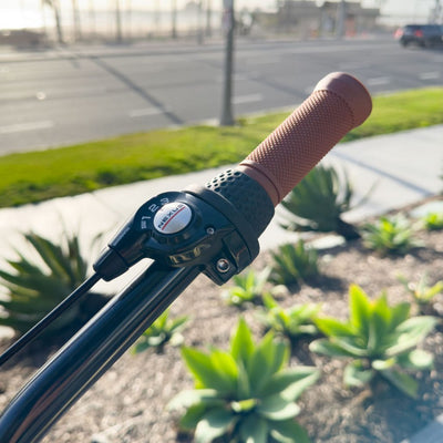 SKULLXBONES Women's Beach Cruiser 3 Speed - GLOSS VANILLA/BROWN